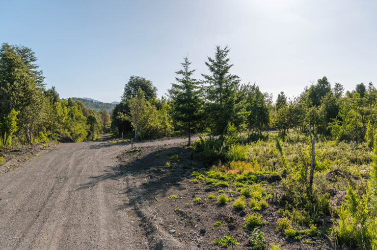 Caminos Estabilizados 1