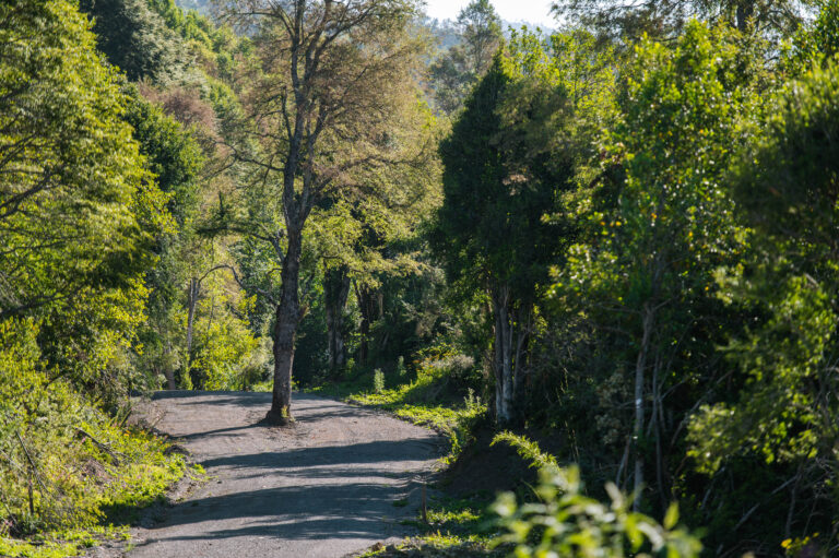 Caminos Estabilizados 2