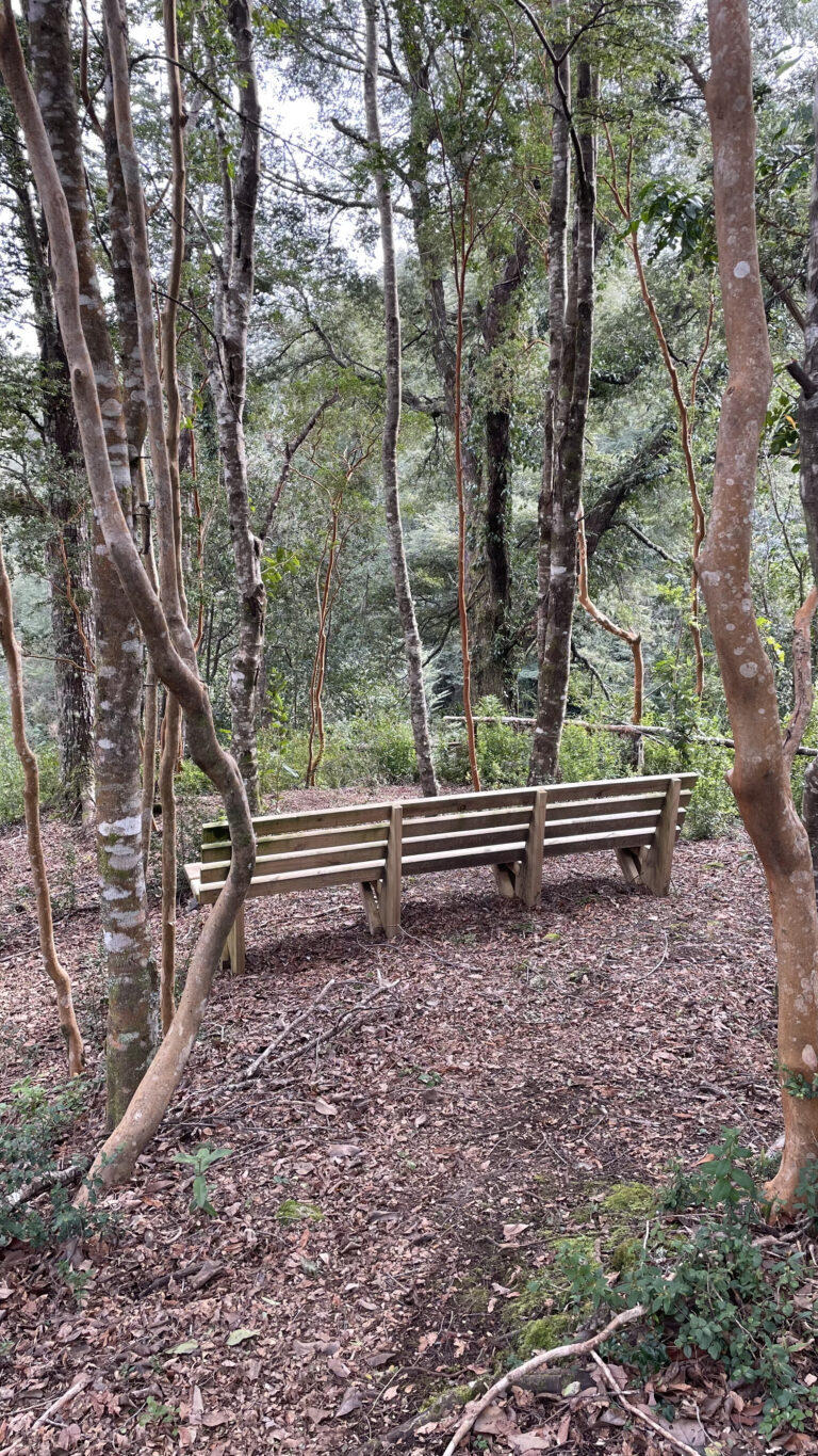 Mirador-Rio-Correntoso